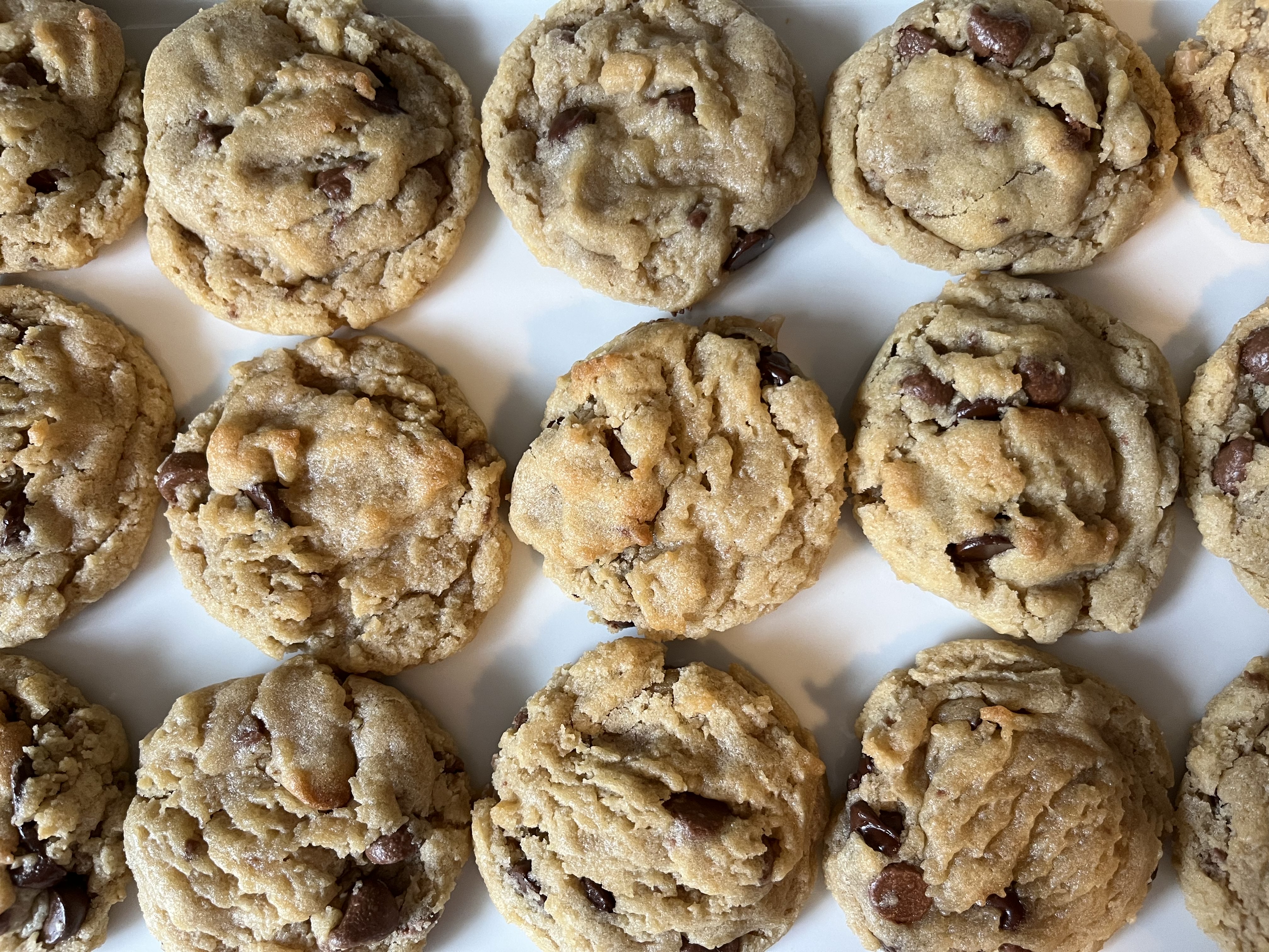 Chocolate Chip Cookie