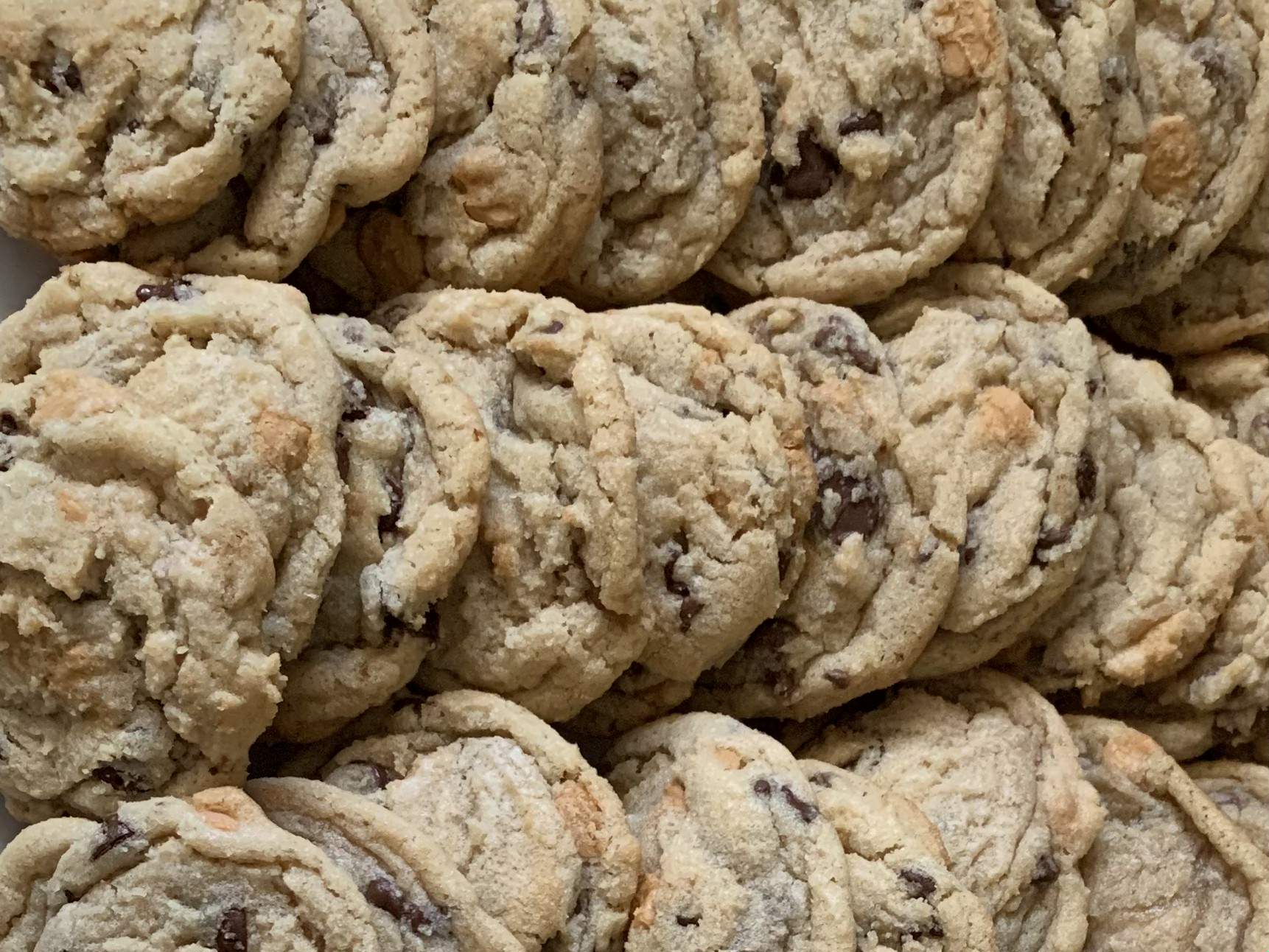 Chocolate Chip Cookie