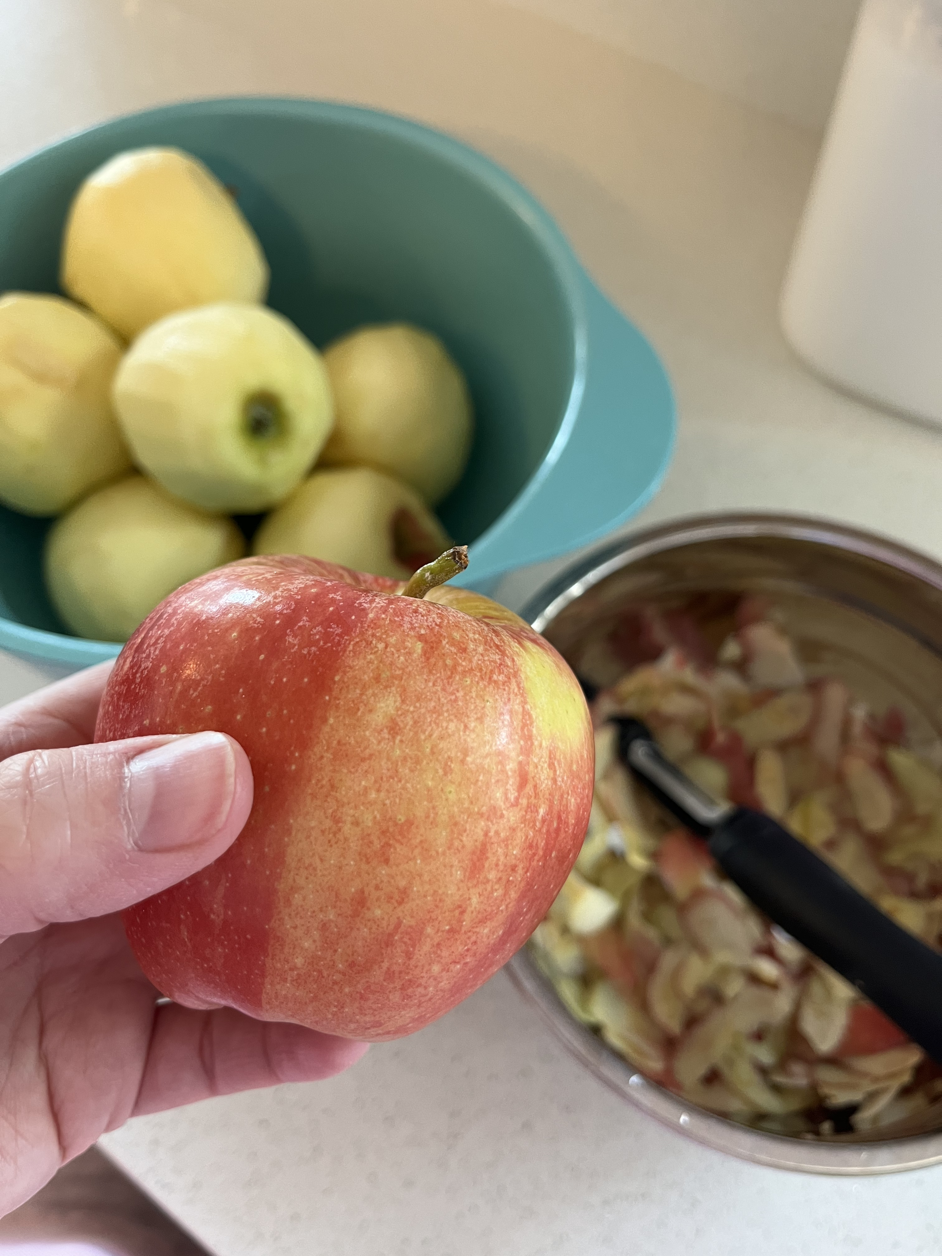 Dutch Apple Pie