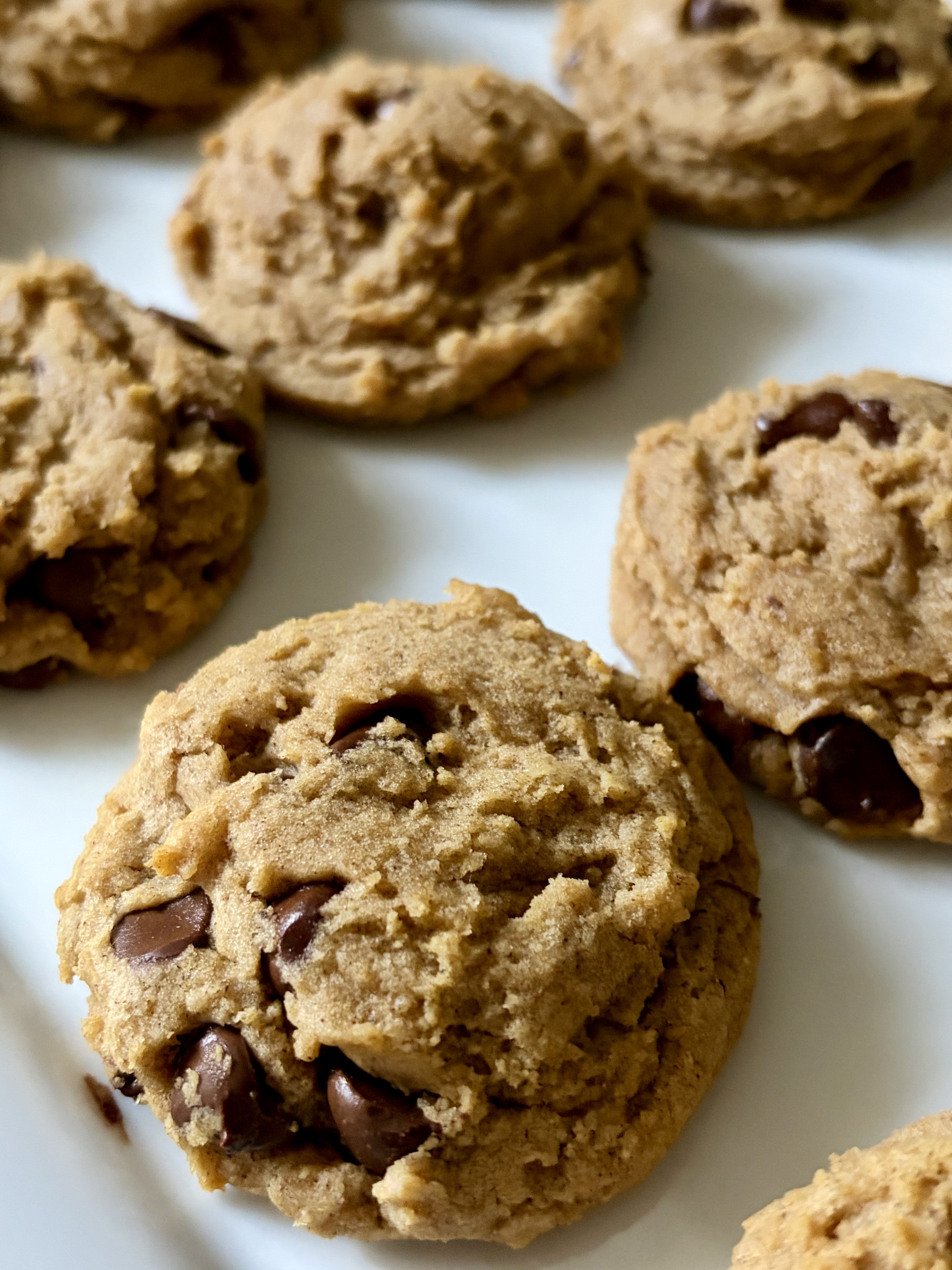 Pumpkin Chocolate Chip Cookie