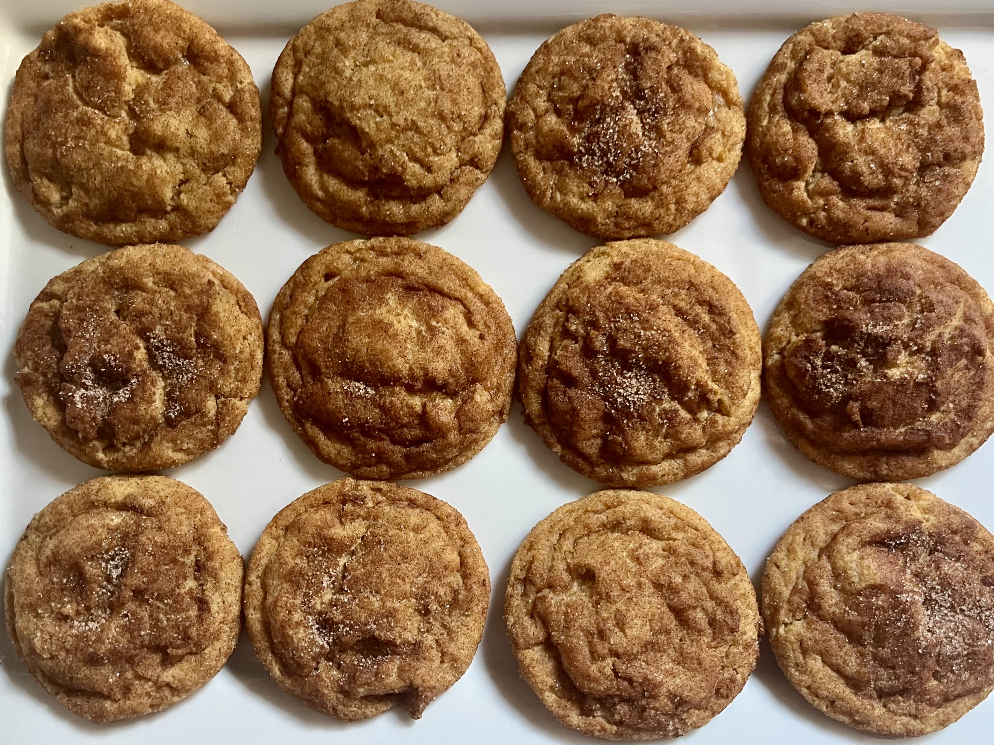 Pumpkin Spice Snickerdoodle